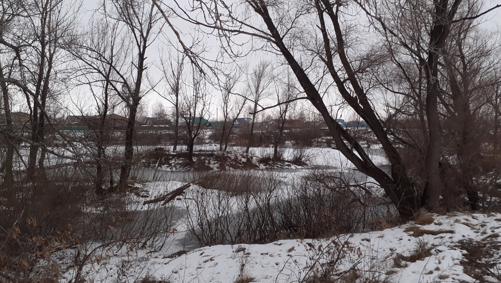 Владимира Шакиева.