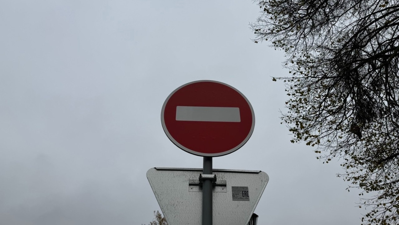 Елены Колоколовой.