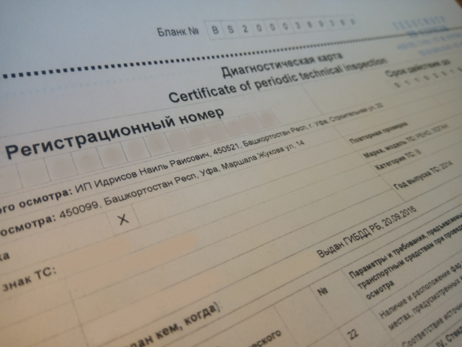 Фото Васили Саитовой.