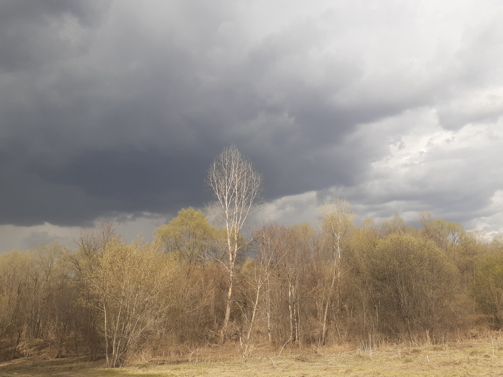 Владимира Шакиева. «Общественная электронная газета».