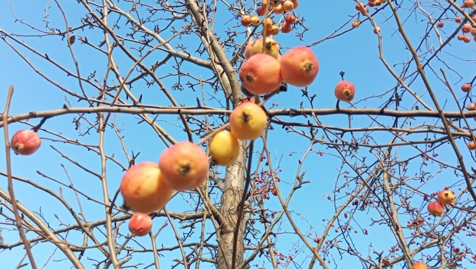 Евгении Сюткиной. "Общественная электронная газета".