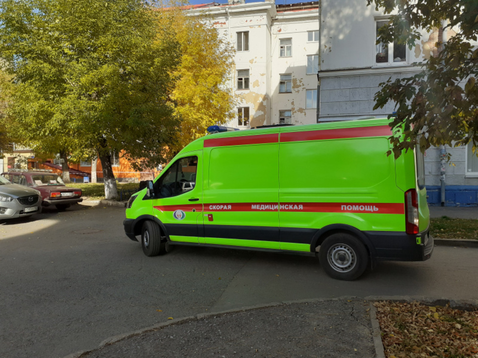 Фото автора.