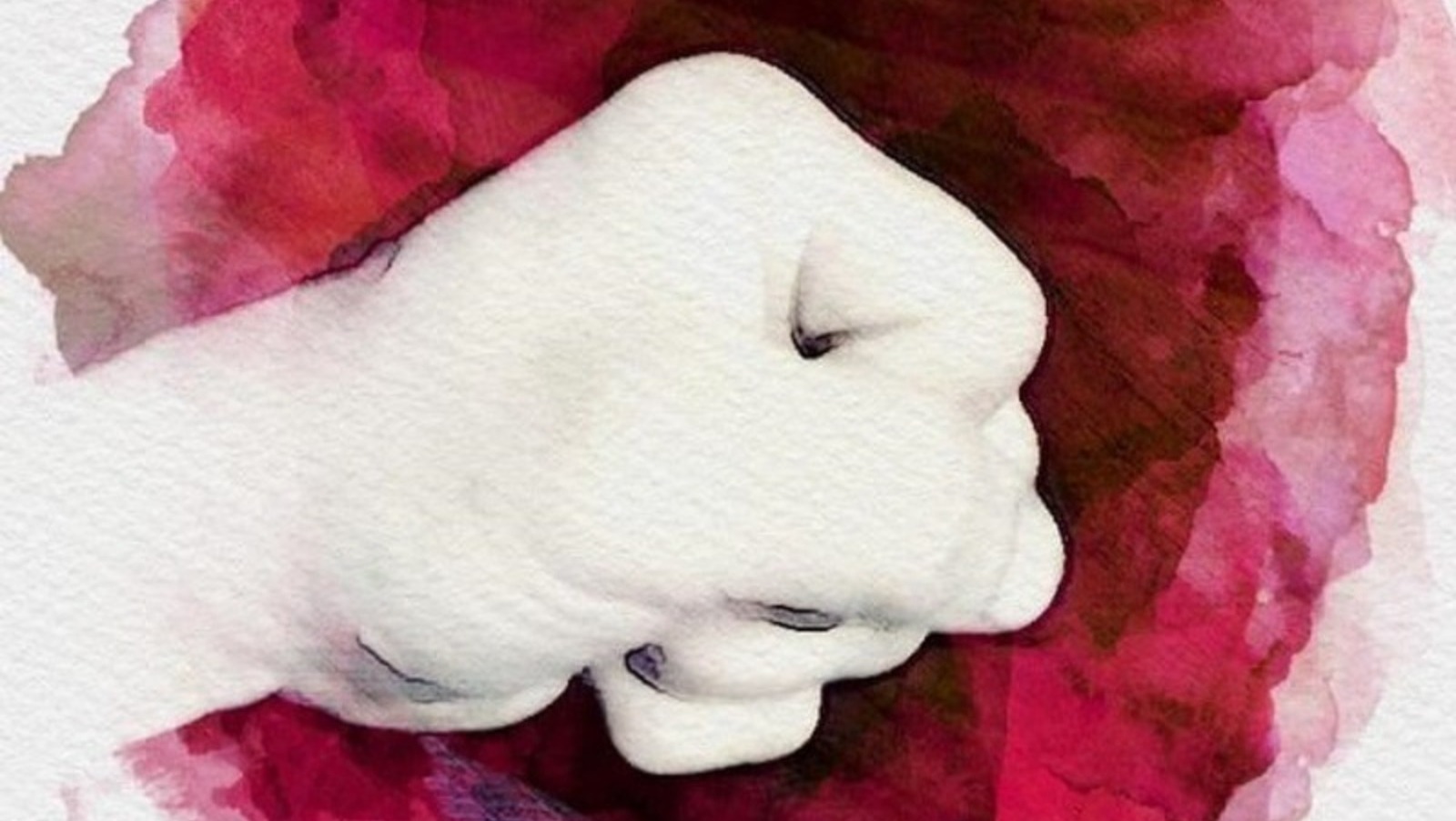 рисунок Раиля Латыпова. «Общественная электронная газета».