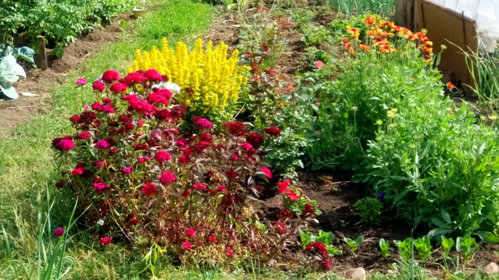 Фото Васили Саитовой.