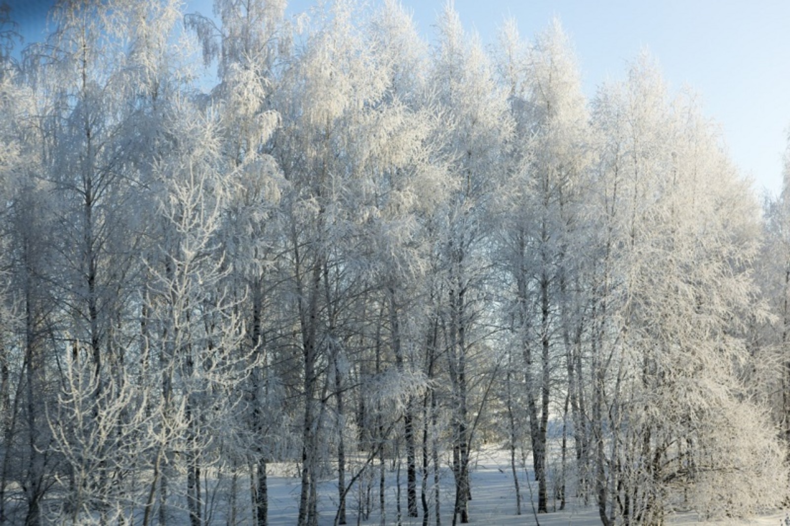 Фото Фаиля Абсатарова.