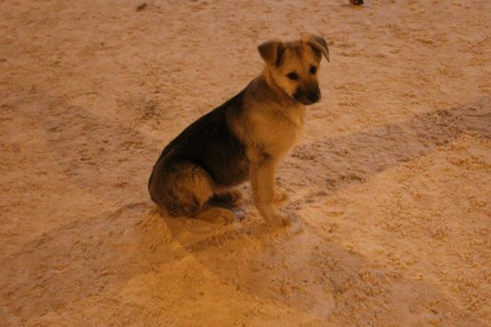 Фото Олега Яровикова.