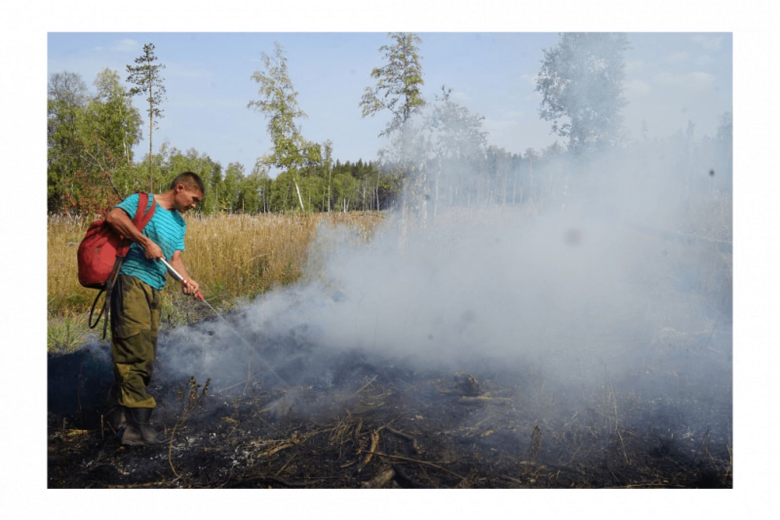 Фото с сайта Минлесхоза РБ.