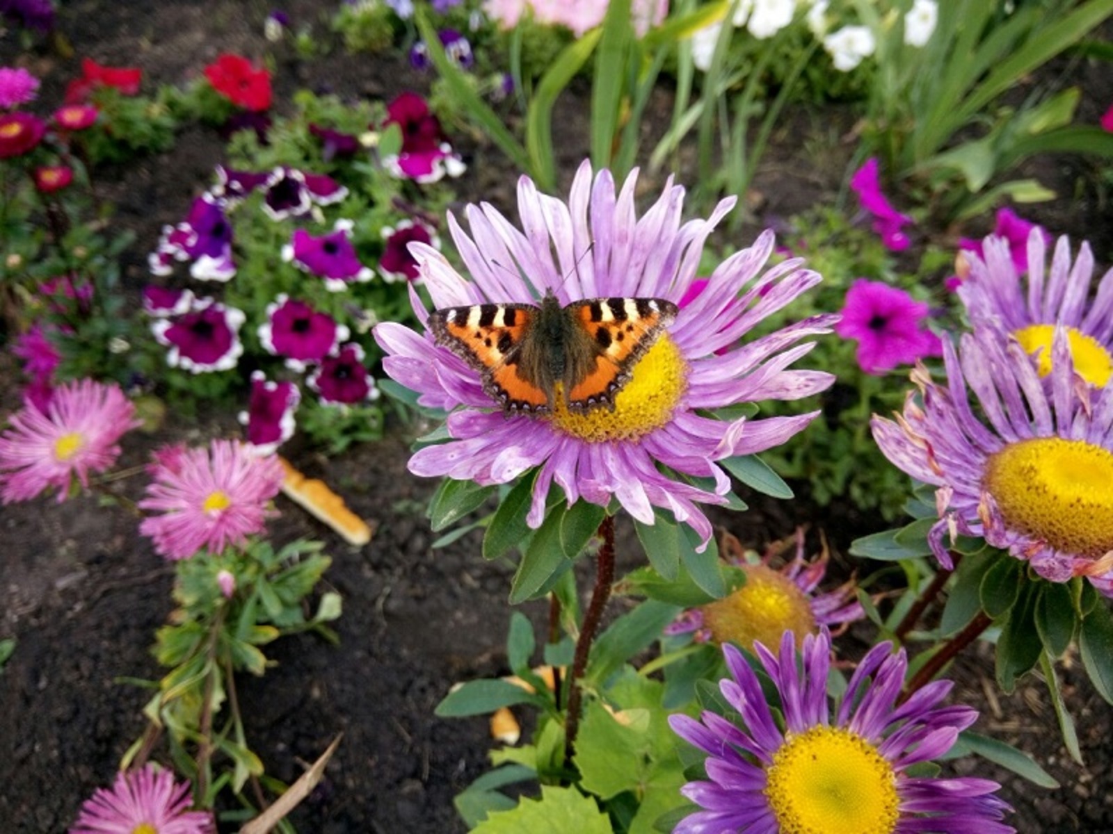 Фото Васили Саитовой.