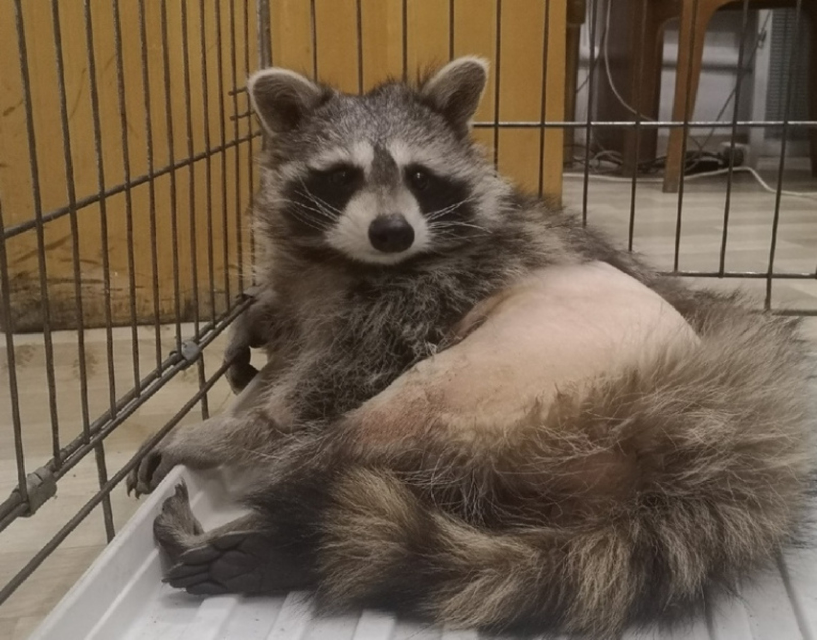 Фото предоставлено Жанной Исаевой.