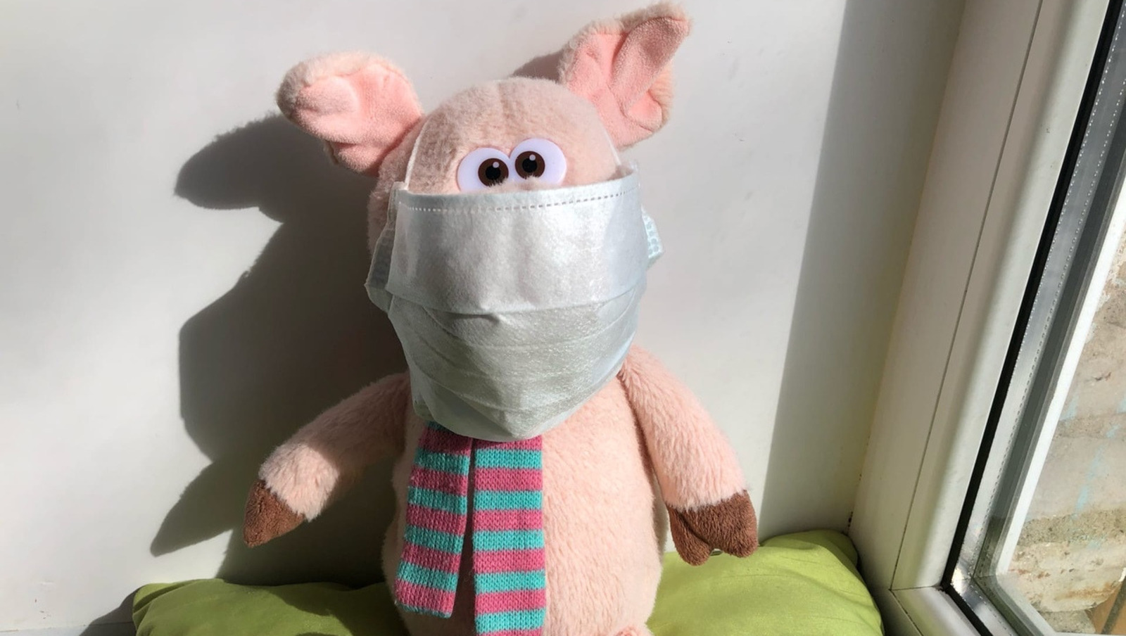 Елены Колоколовой.