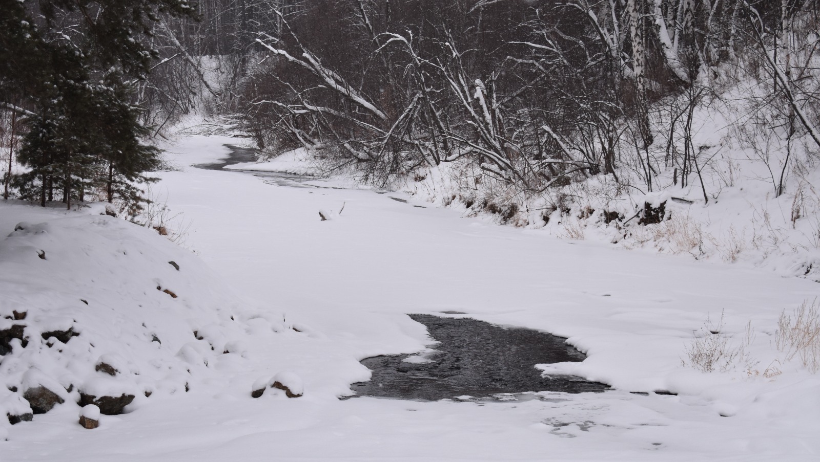 Елены Колоколовой.  «Общественная электронная газета».