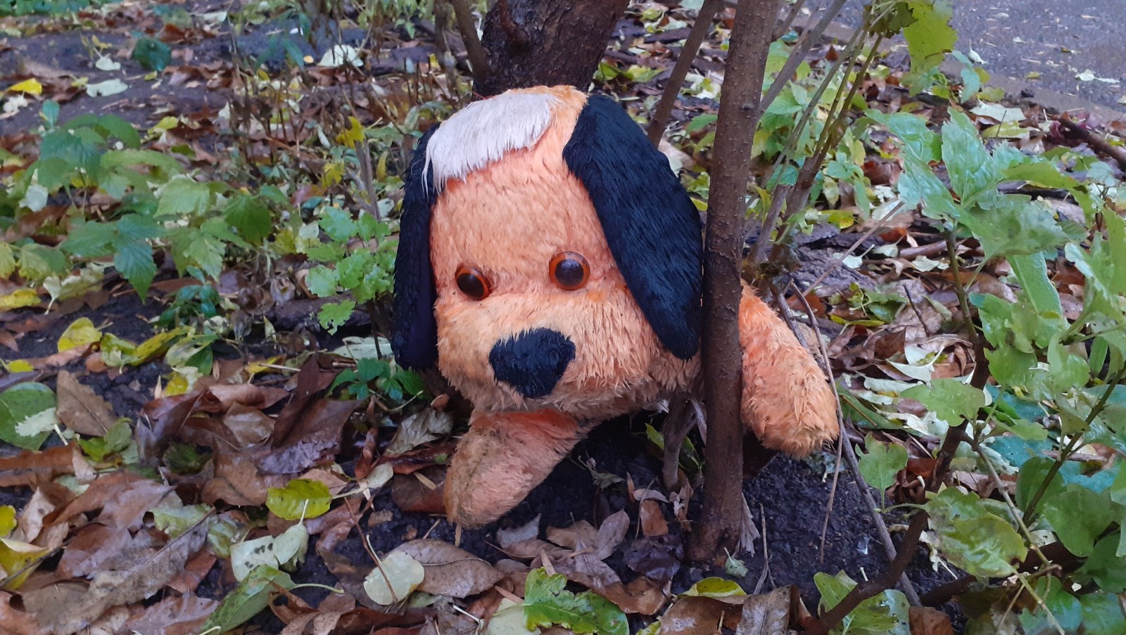 Владимира Шакиева.  "Общественная электронная газета".