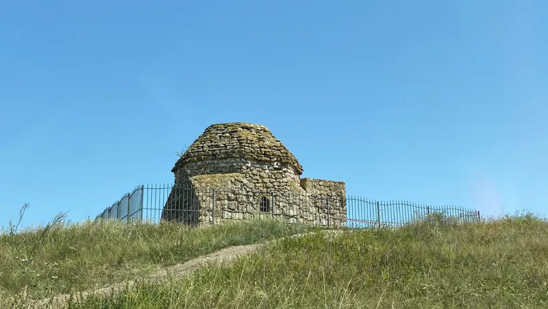 Елены Колоколовой.