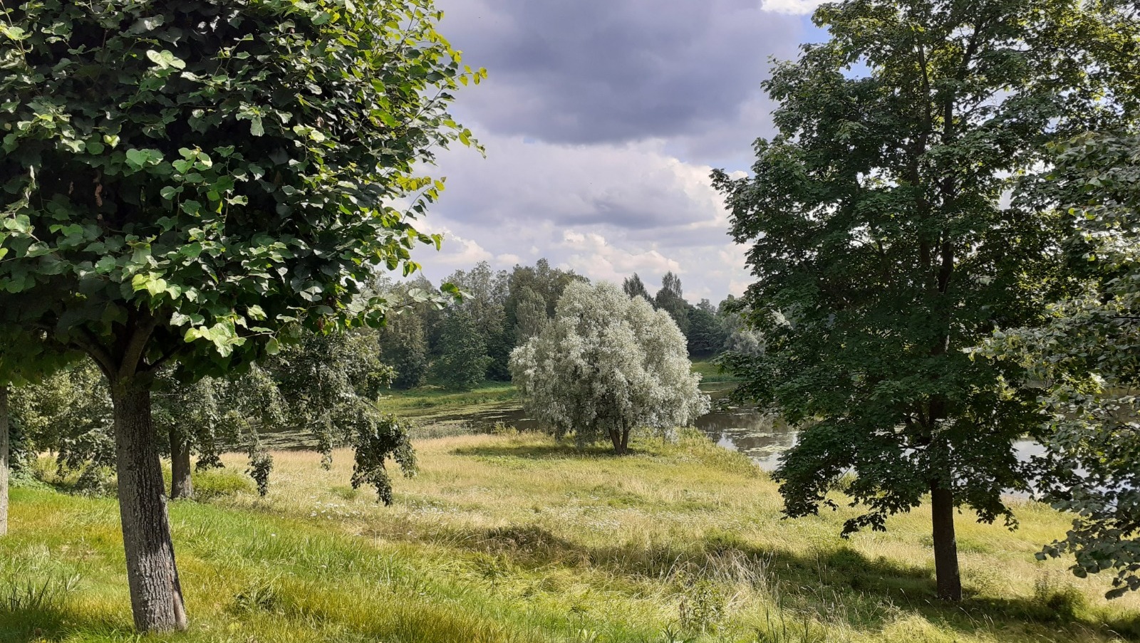 Владимира Шакиева.