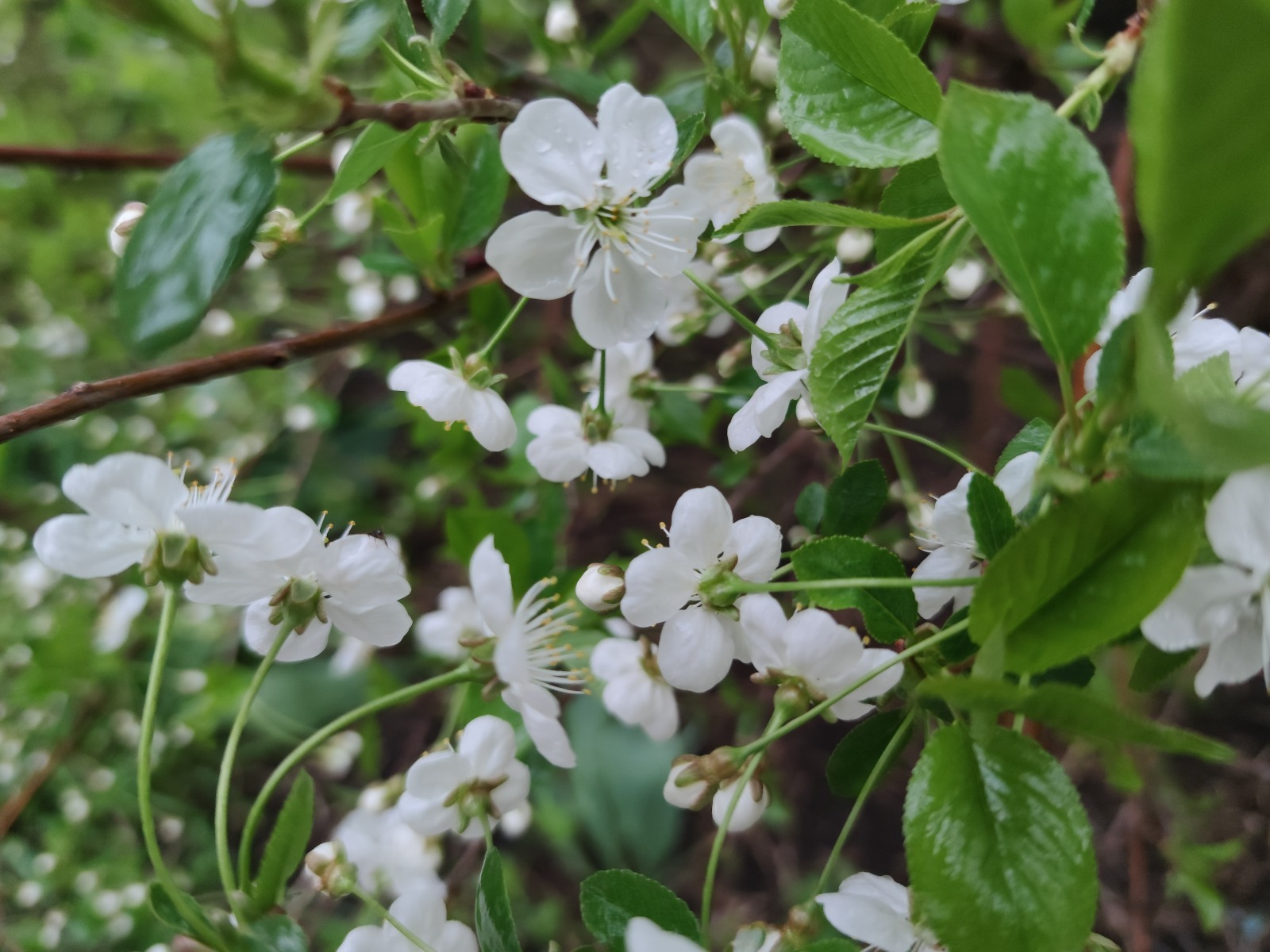 Дарьи Святохиной.