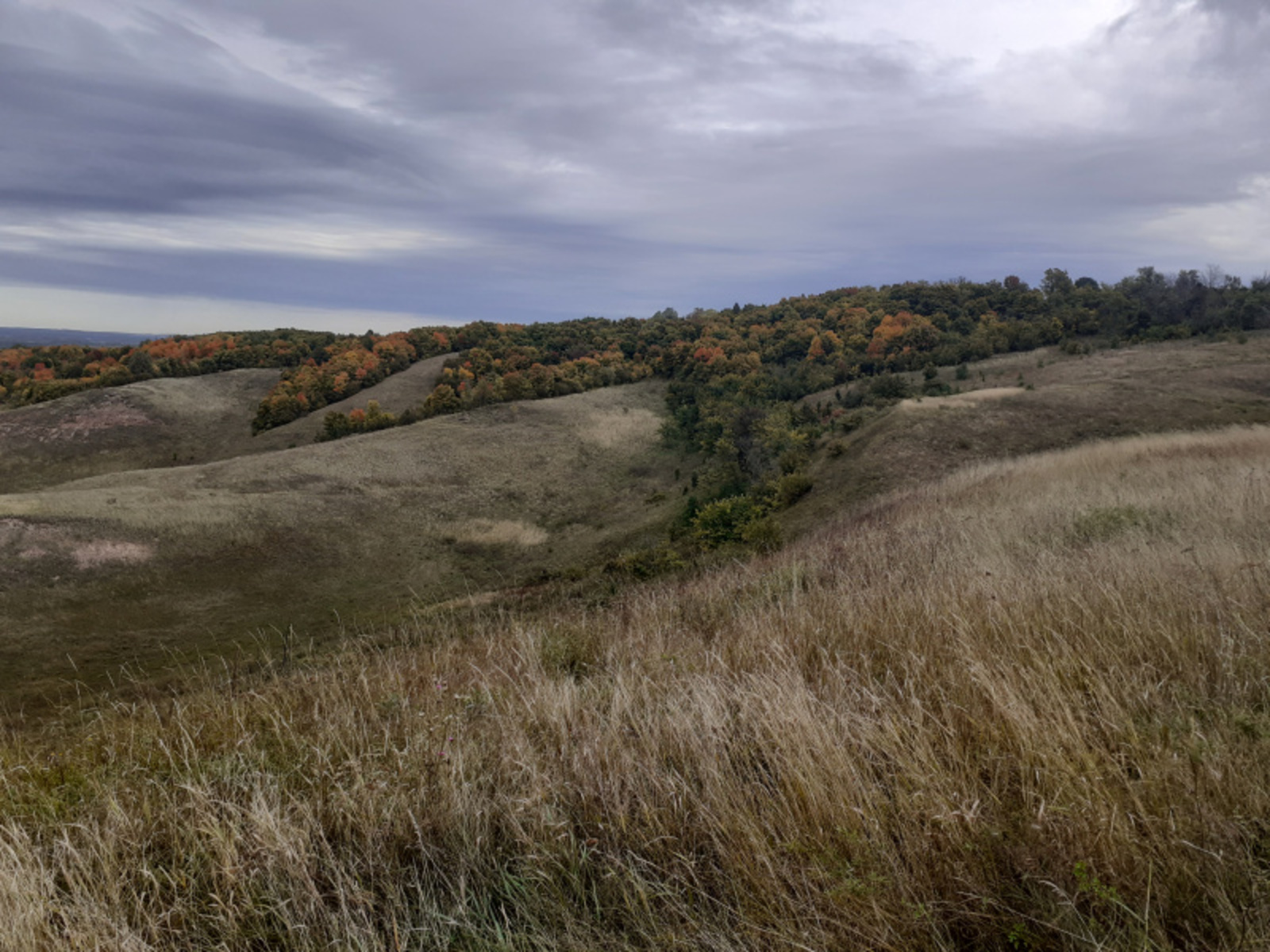 Фото Владимира Шакиева.