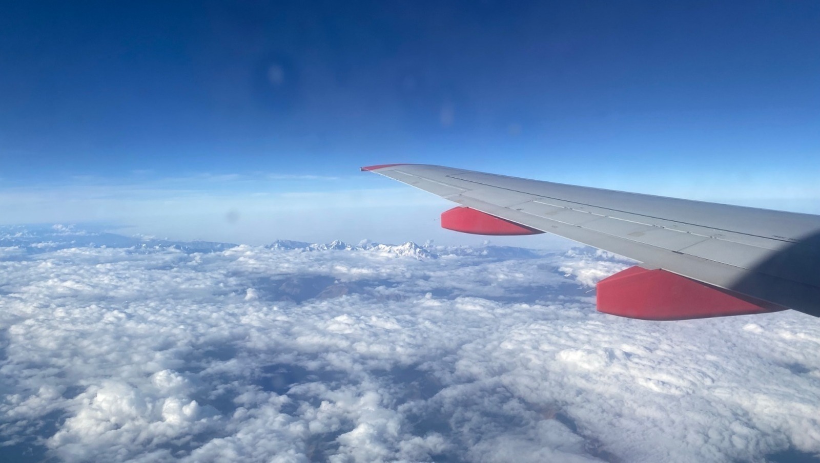 Елены Колоколовой.