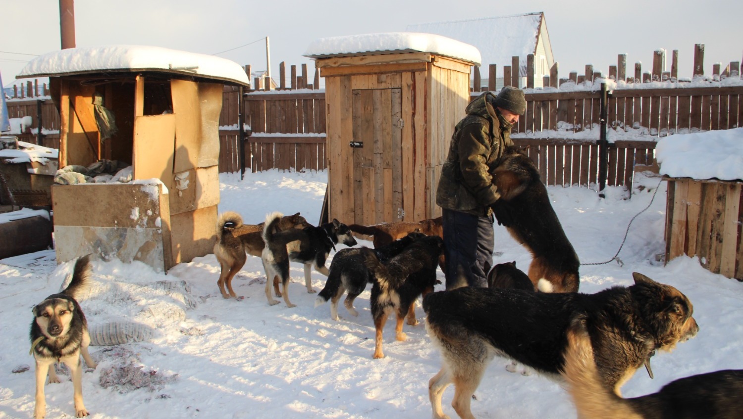 Елены Колоколовой.