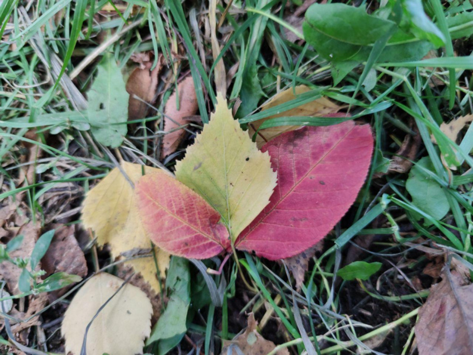 Фото автора.