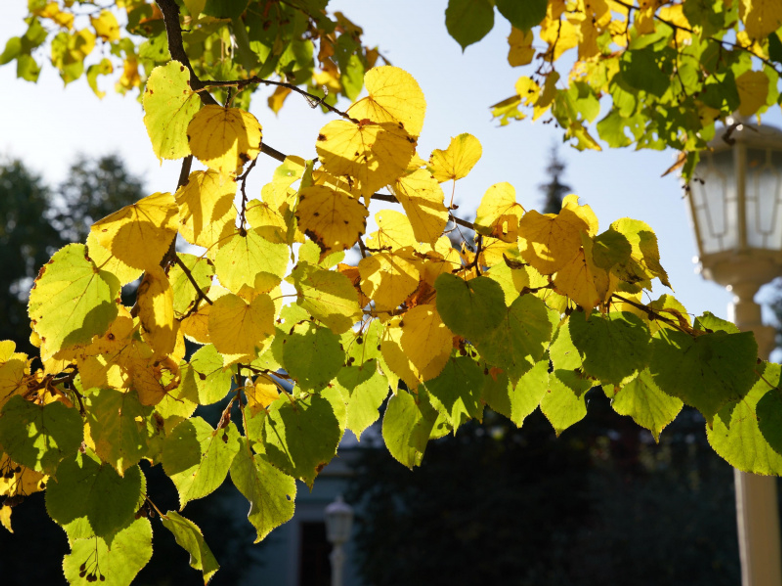 Фото Олега Яровикова.