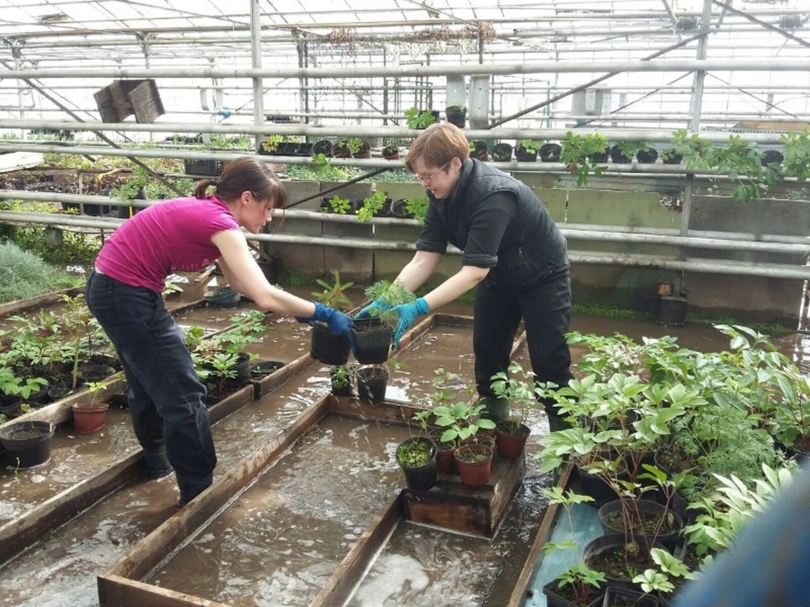 Фото предоставлено Надеждой Рязановой.