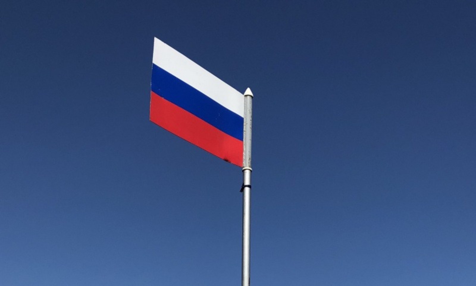 Елены Колоколовой.