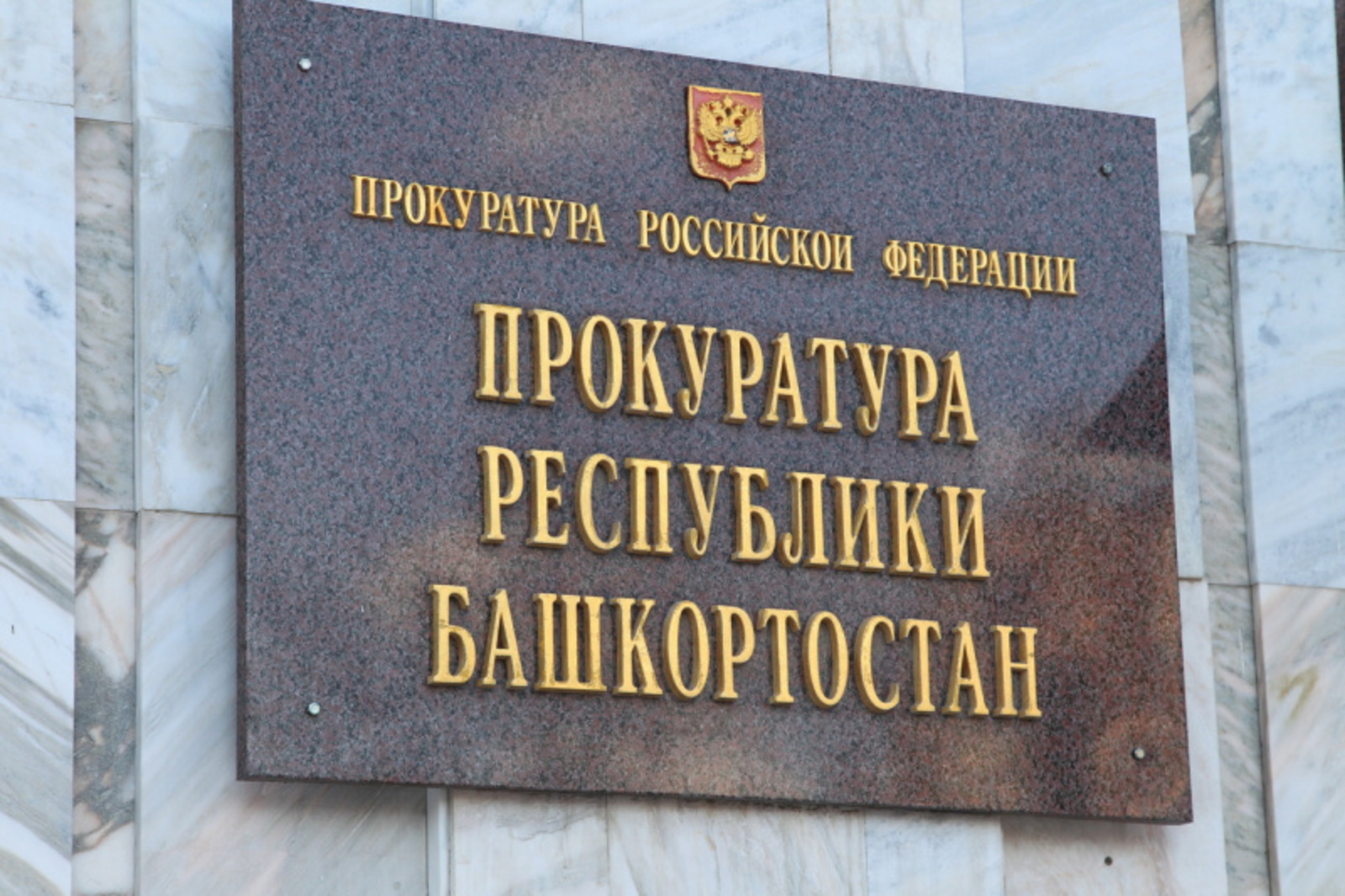 Фото Олега Яровикова.