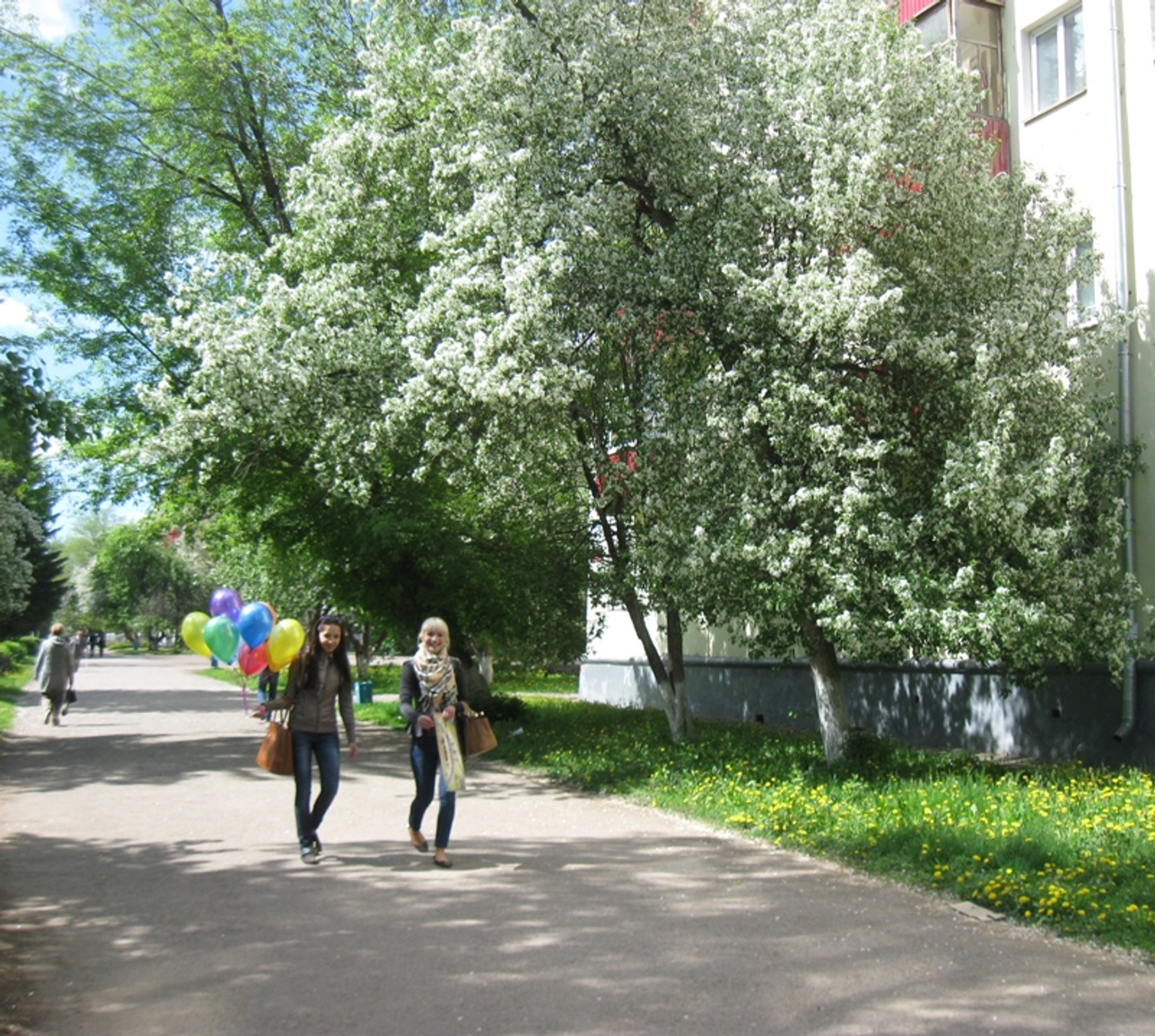 Фото автора.