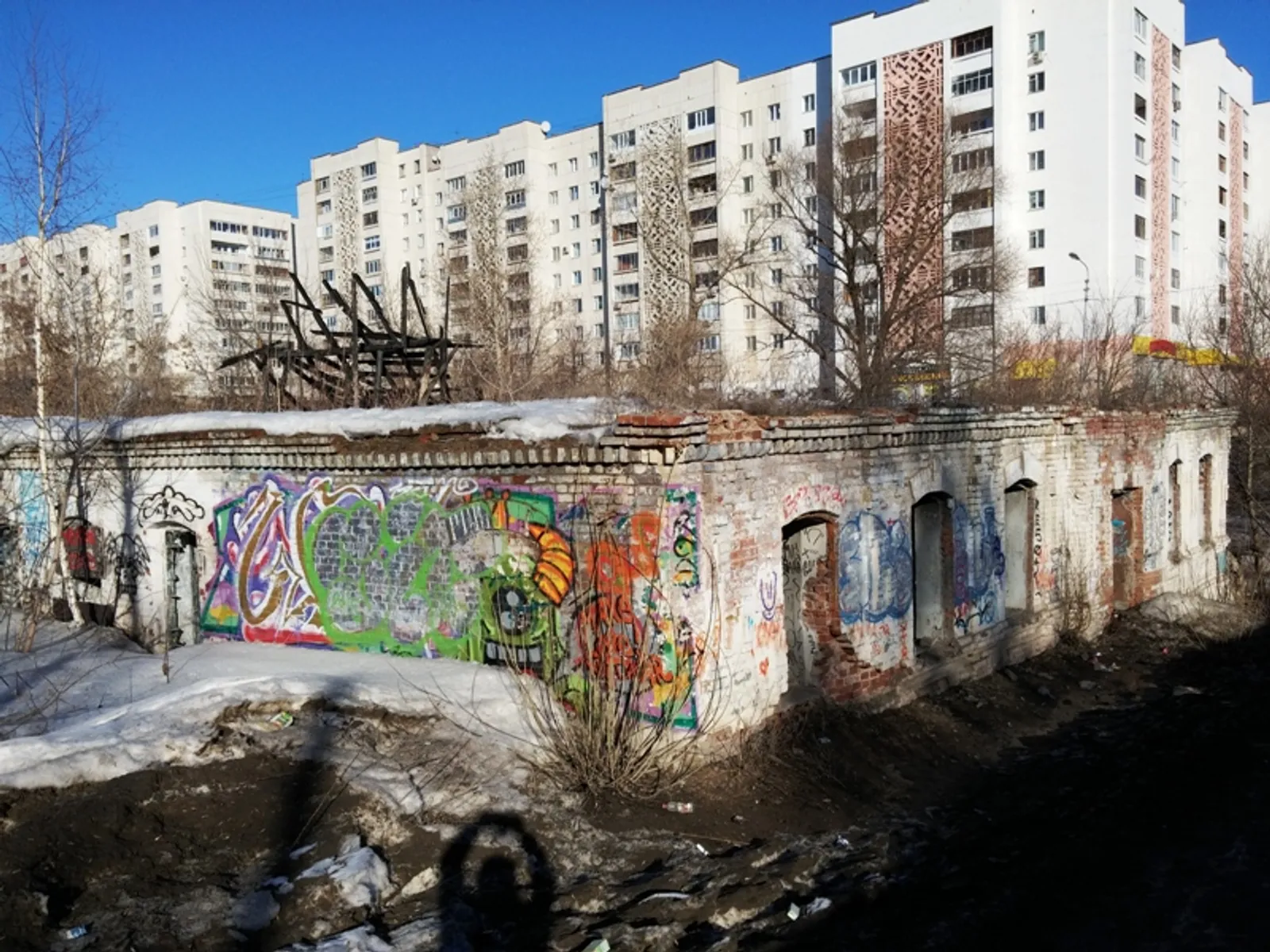 Фото Андрея Старостина.