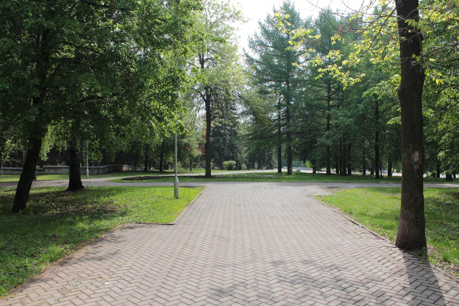 Дарьи Святохиной.