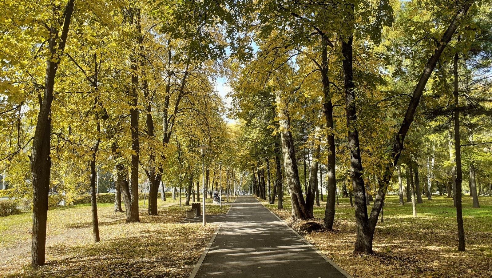 Владимира Шакиева.