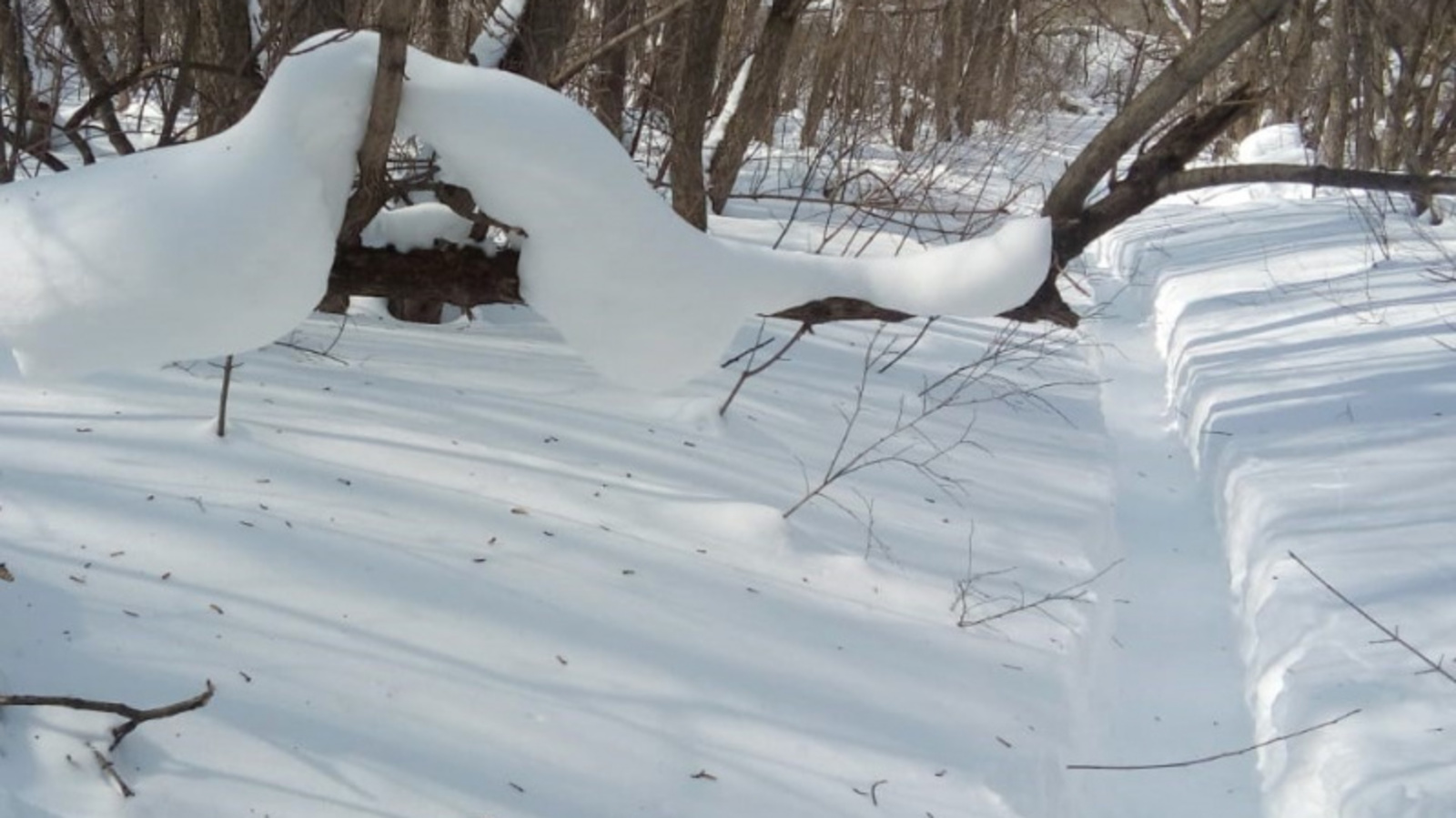 Фото автора.