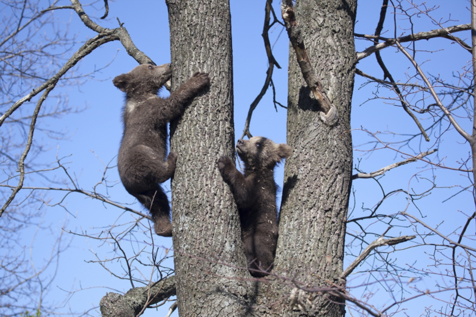 Фото Фаиля Абсатарова.