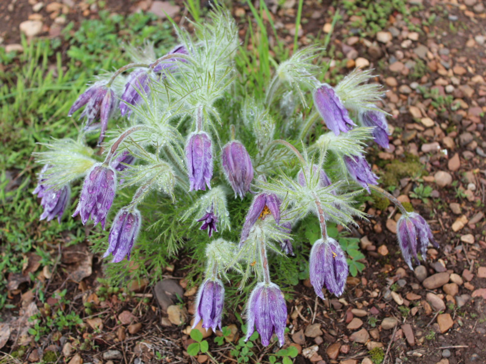 Фото Дарьи Святохиной.