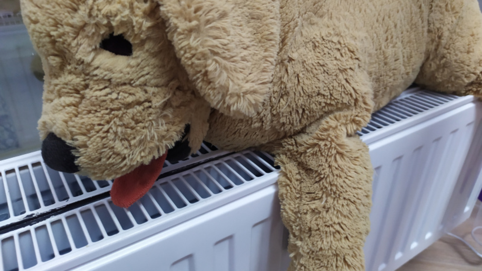 Фото Васили Саитовой.