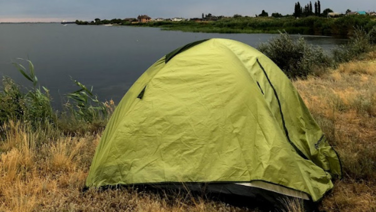 Елены Колоколовой.