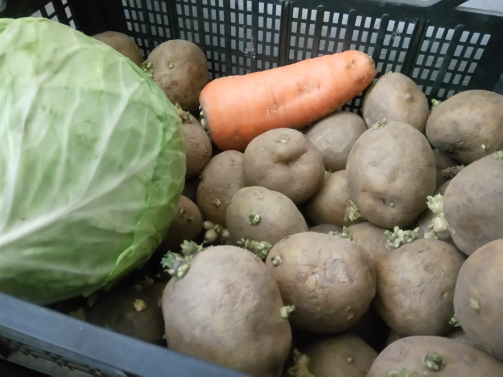 Фото Васили Саитовой.