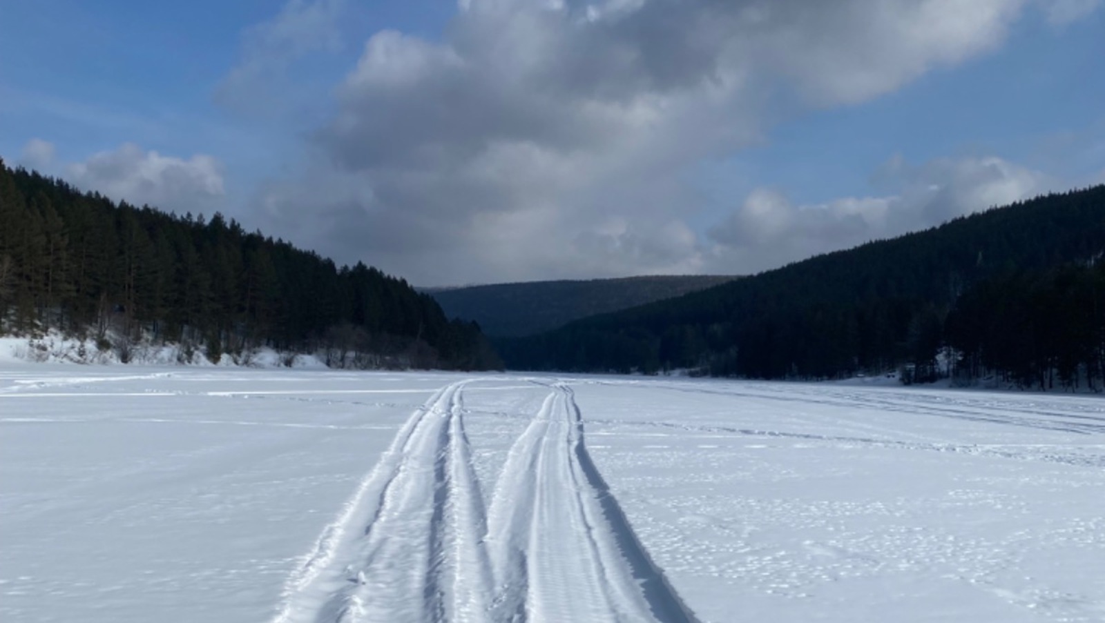 Елены Колоколовой.