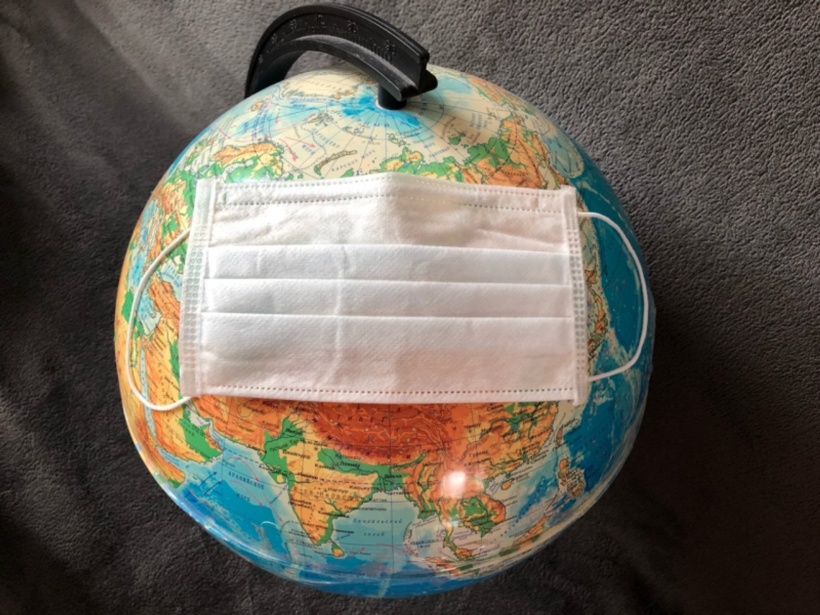 Фото Елены Колоколовой.