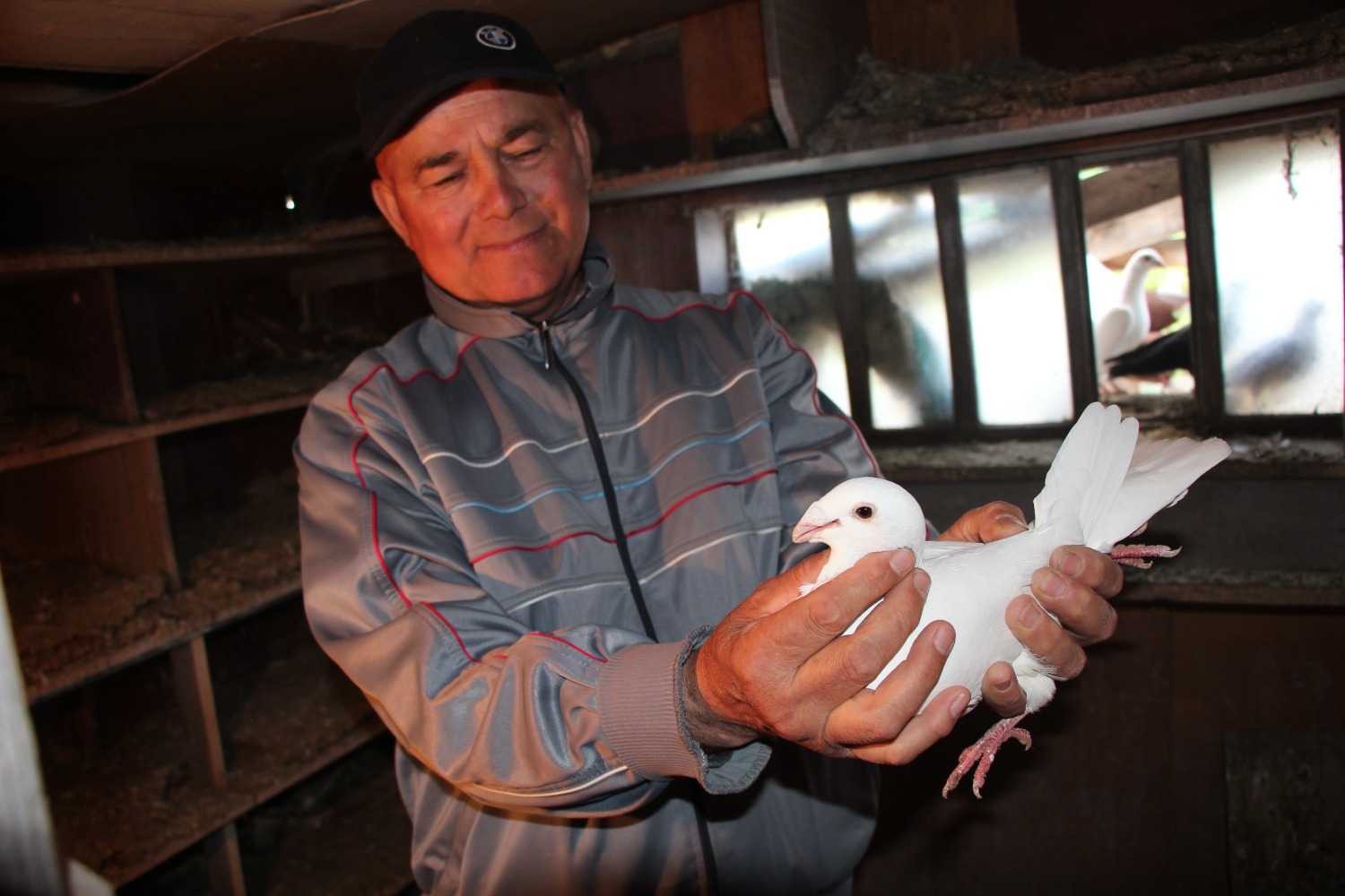 Евгении Сюткиной.