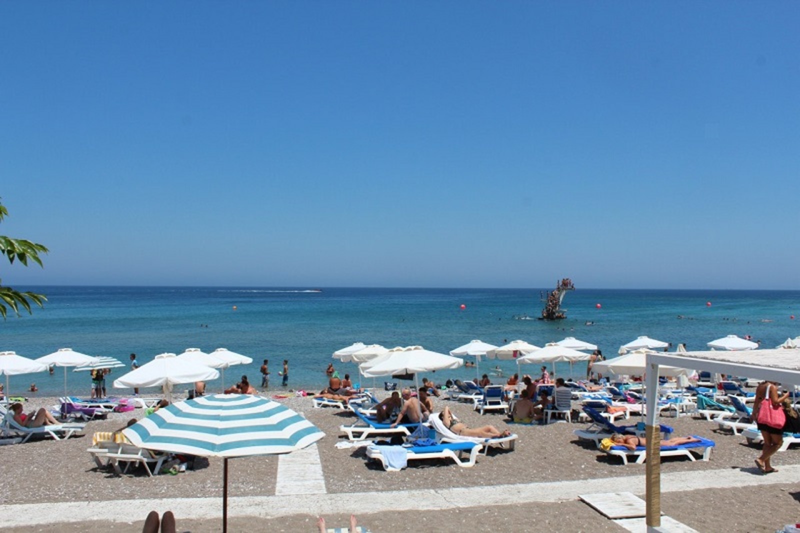 Фото Дарьи Святохиной.