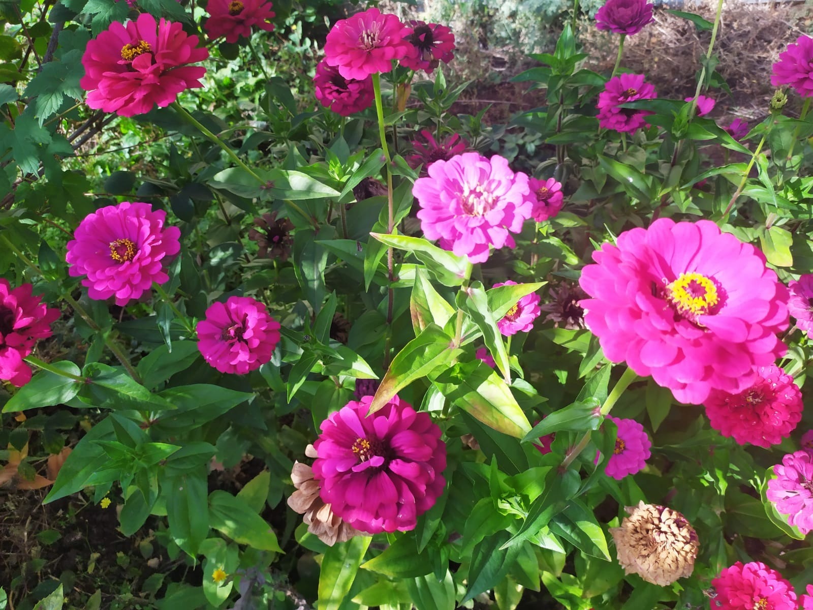 Васили Саитовой.