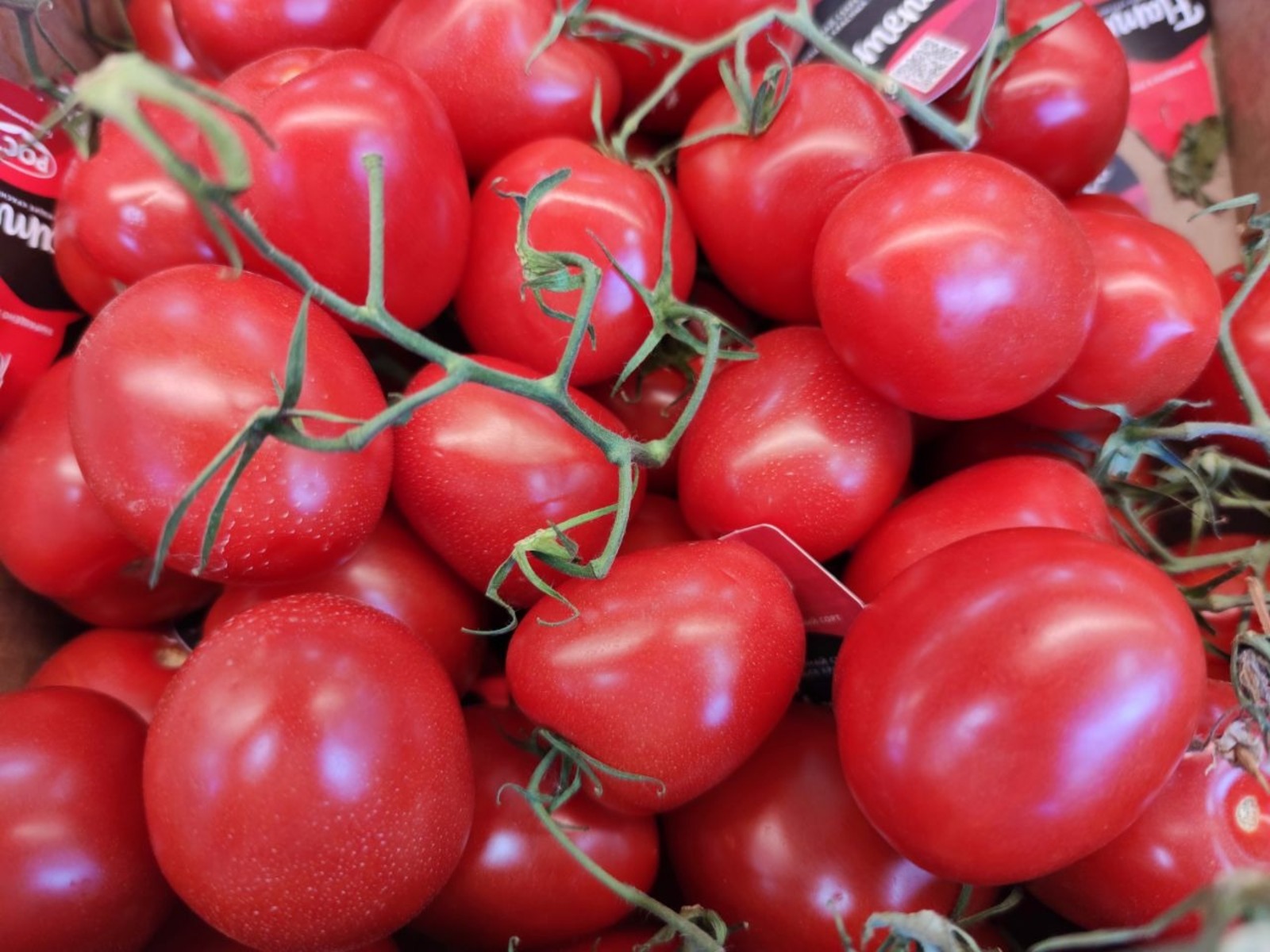 Дарьи Святохиной.