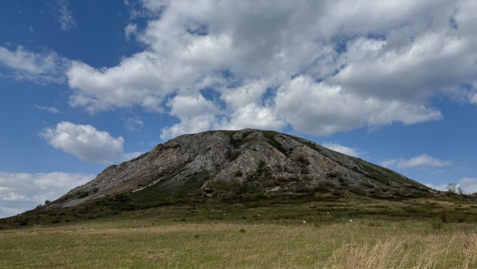 Елены Колоколовой.