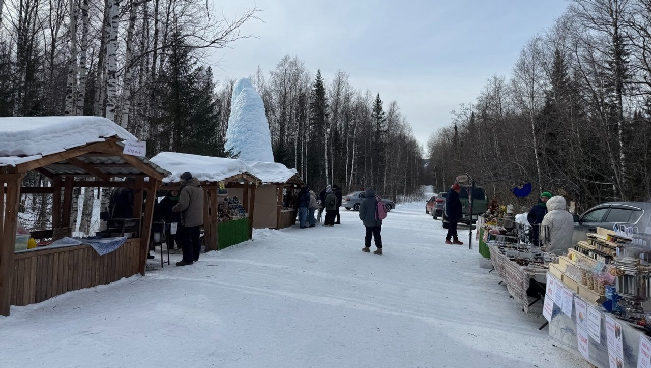 Елены Колоколовой. «Общественная электронная газета».