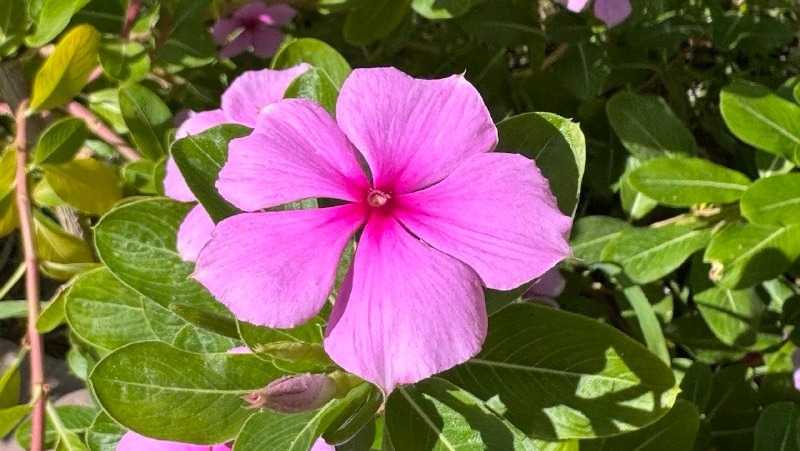 Когда в Башкирии растает снег и начнется настоящая весна