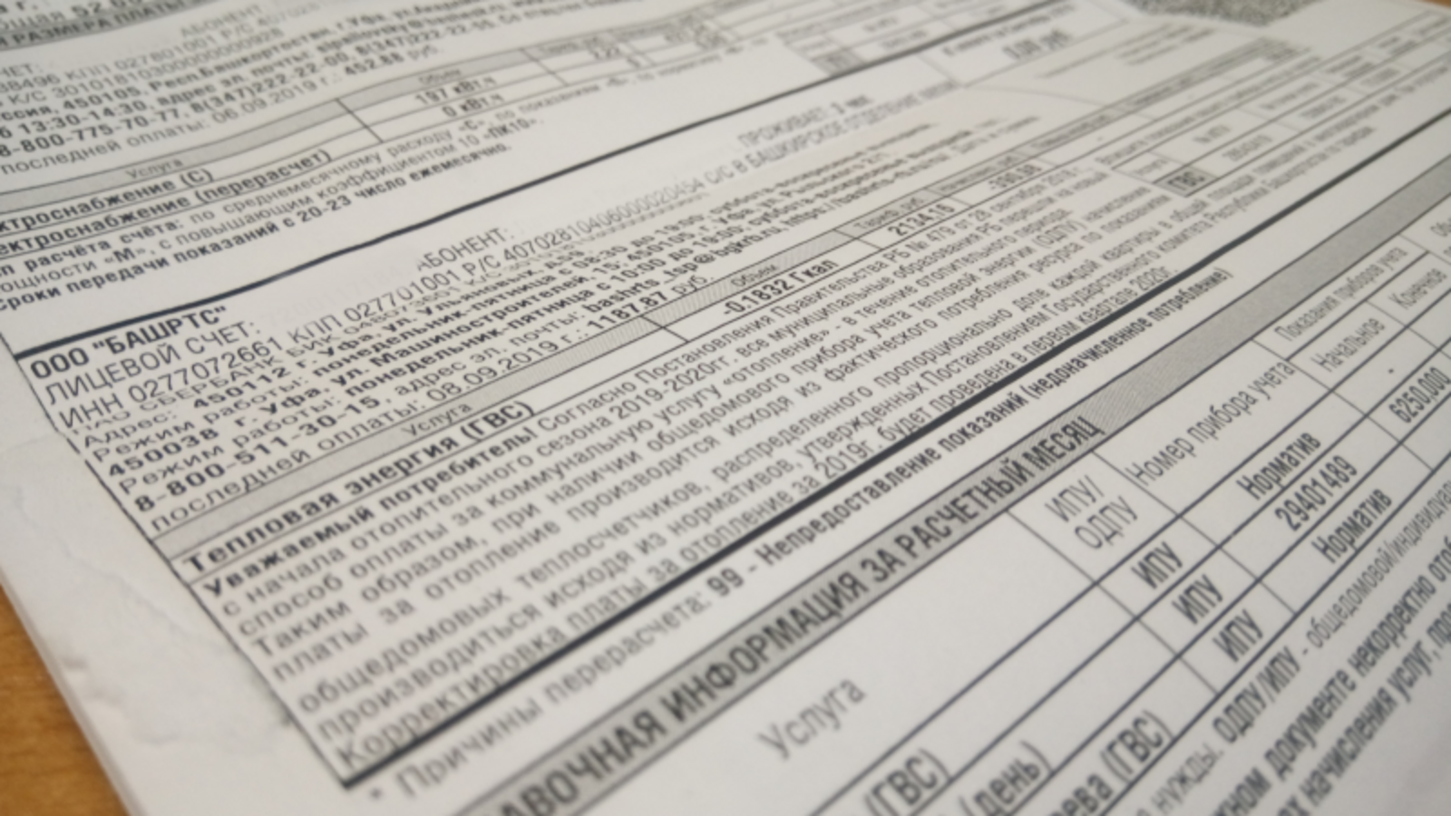 Фото Васили Саитовой.