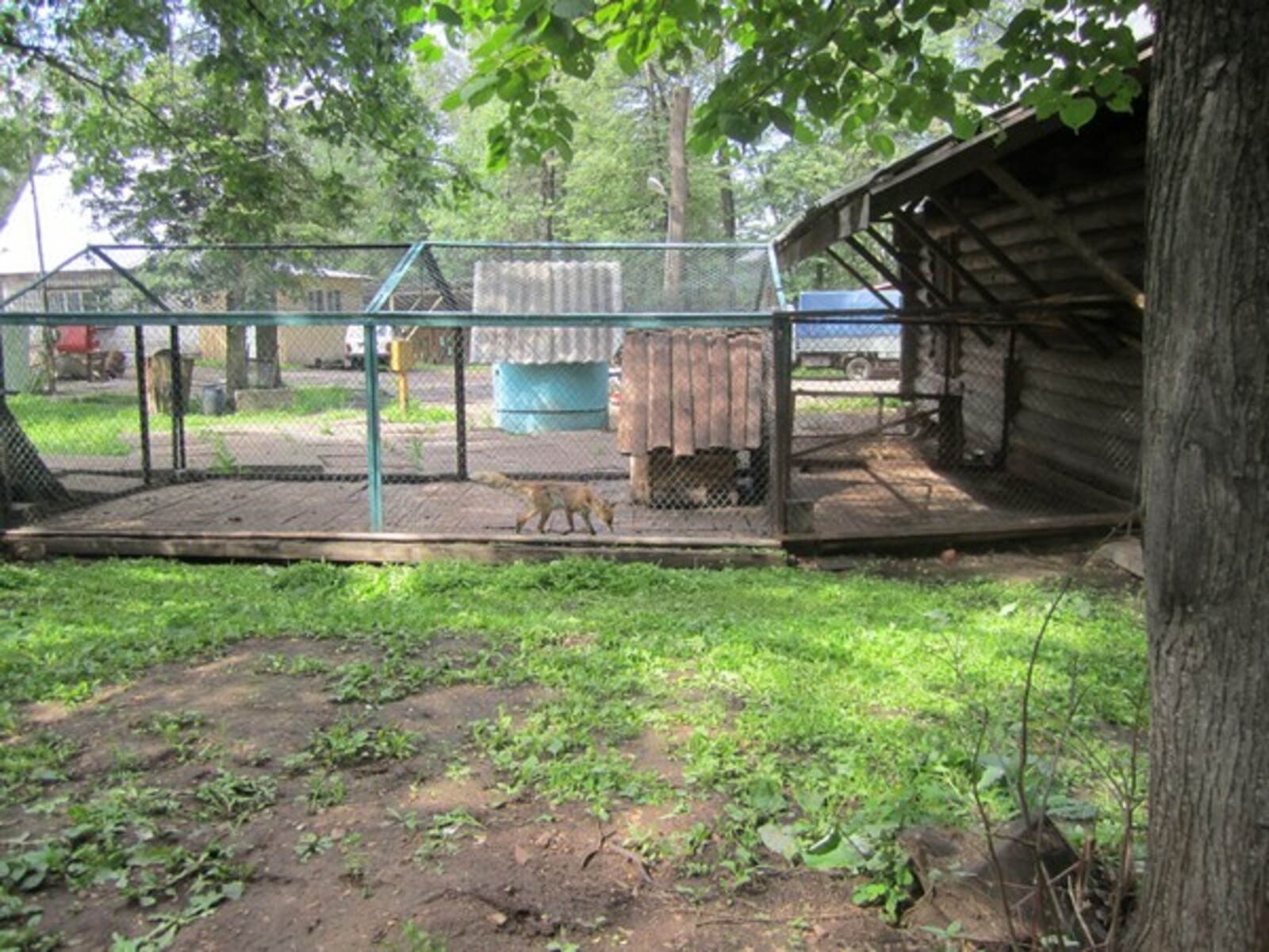 Фото автора.