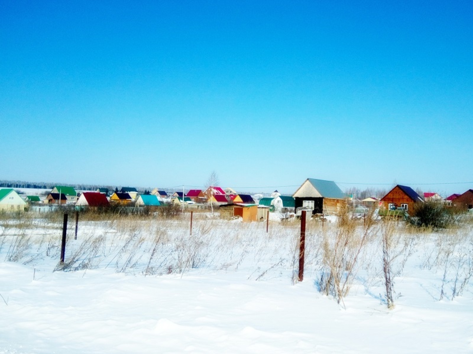 Фото автора.