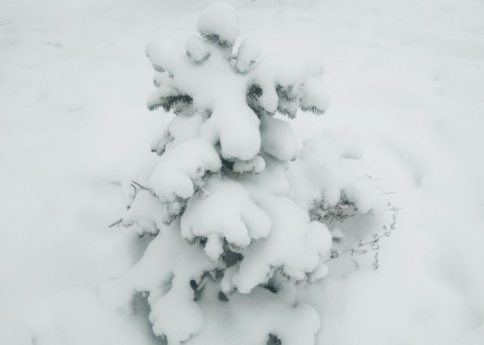 Фото Васили Саитовой.